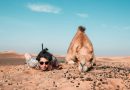 Resting in the Sands: Man and Camel under desert skies